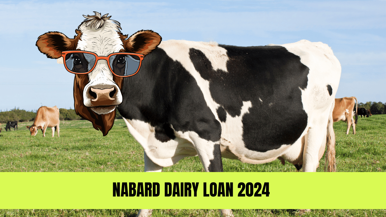 Nabard Dairy Loan 2024