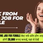 Work From Home Job For Female