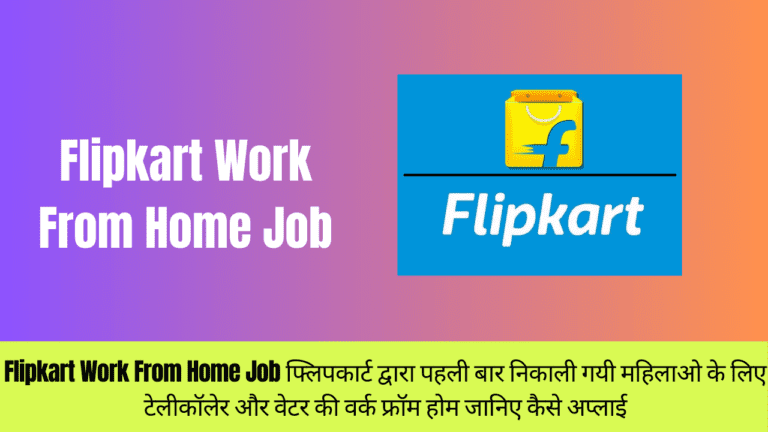 Flipkart Work From Home Job