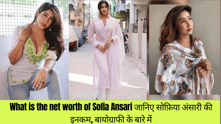 What is the net worth of Sofia Ansari