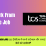 TCS Work From Home Job