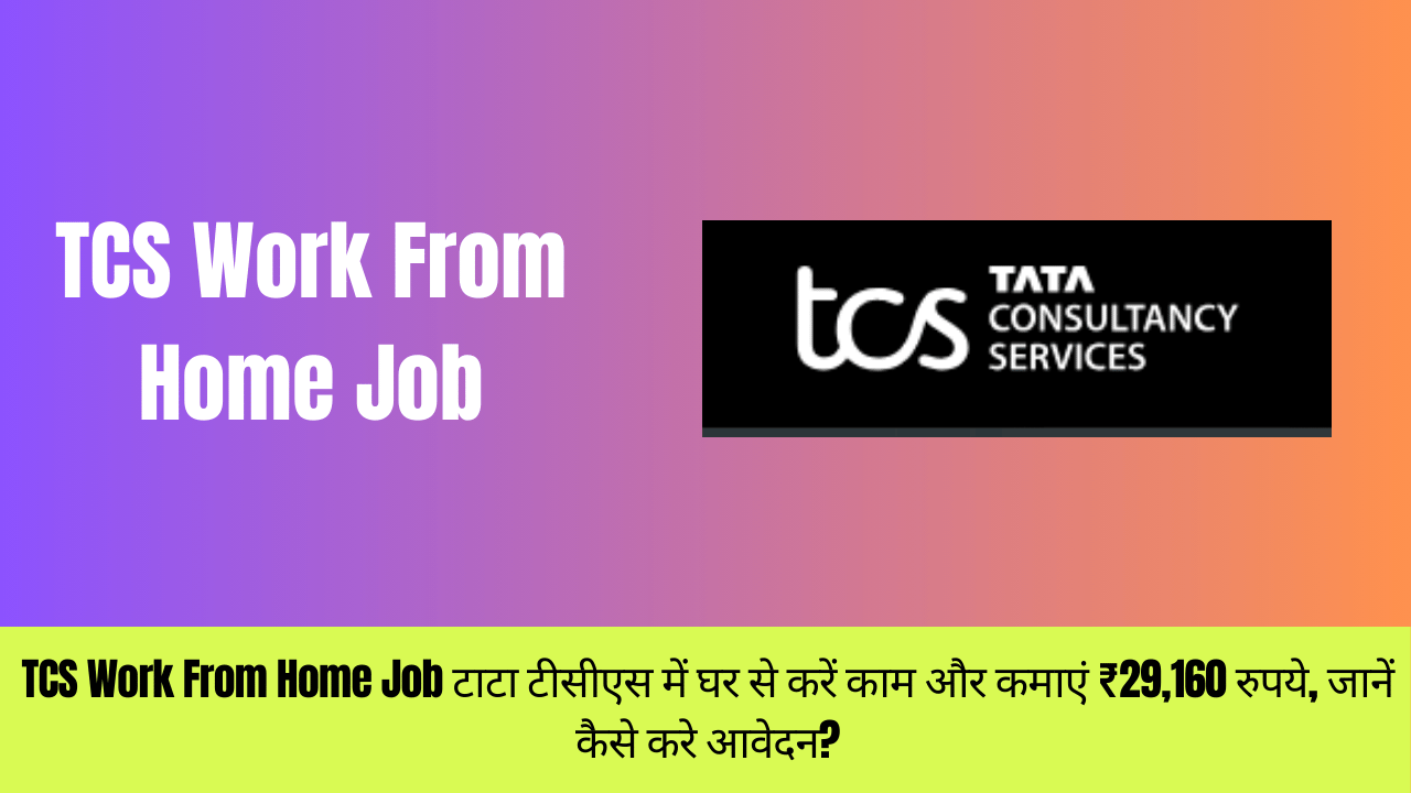 TCS Work From Home Job