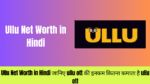 Ullu Net Worth in Hindi