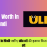 Ullu Net Worth in Hindi