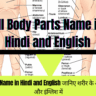 All Body Parts Name in Hindi and English